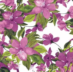 Flowering Clematis pink (33 x 33 cm)