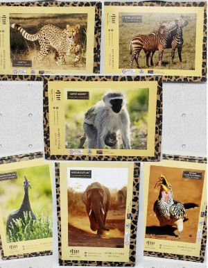 Memoirs of Africa Puzzles Mixed (180 Piece)