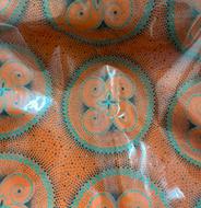 Shweshwe Shower Cap